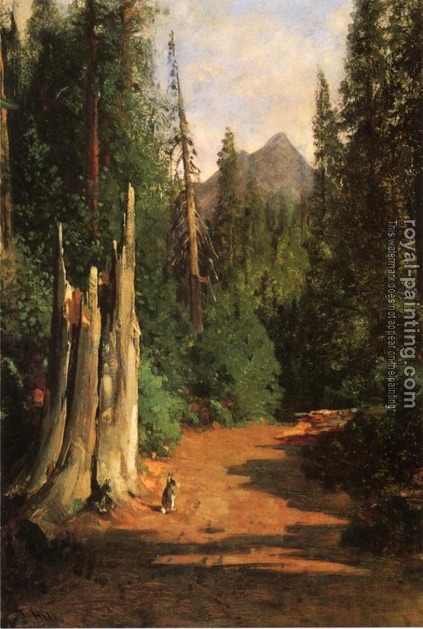 Thomas Hill : Black Butte Mount Shasta Thomas Hill : Black Butte Mount Shasta